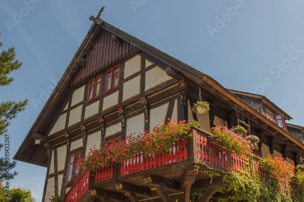 Fototapeta Bepflanzt