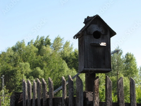 Obraz Birdhouse