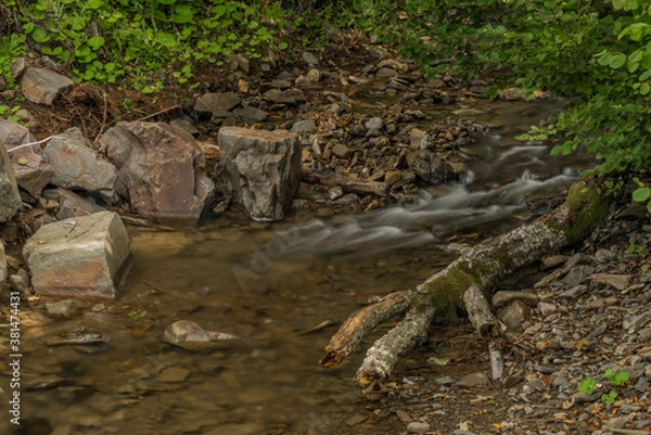 Obraz Udava river in national park Poloniny in summer monring near Osadne village