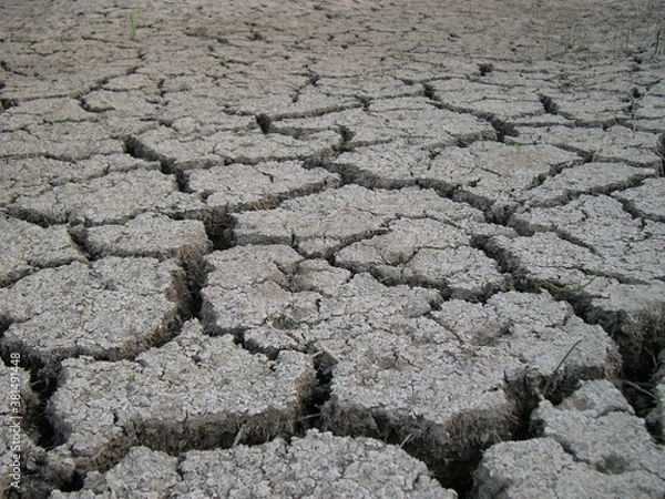 Fototapeta Terre séchée