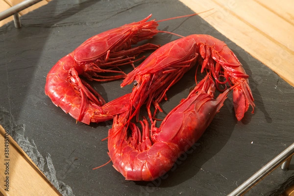 Obraz large raw red king prawn (shrimp) on a black background close up
