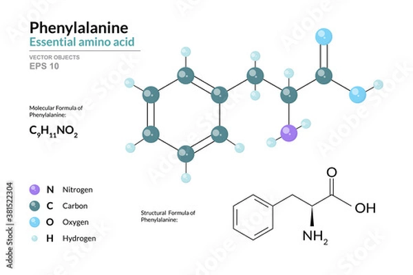Fototapeta Phenylalanine. Phe C9H11NO2. α-Amino Acid. Structural Chemical Formula and Molecule 3d Model. Atoms with Color Coding. Vector Illustration