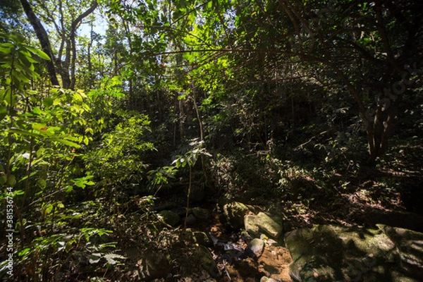 Obraz trail to waterfall