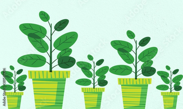 Obraz green plant in pots on light blue background