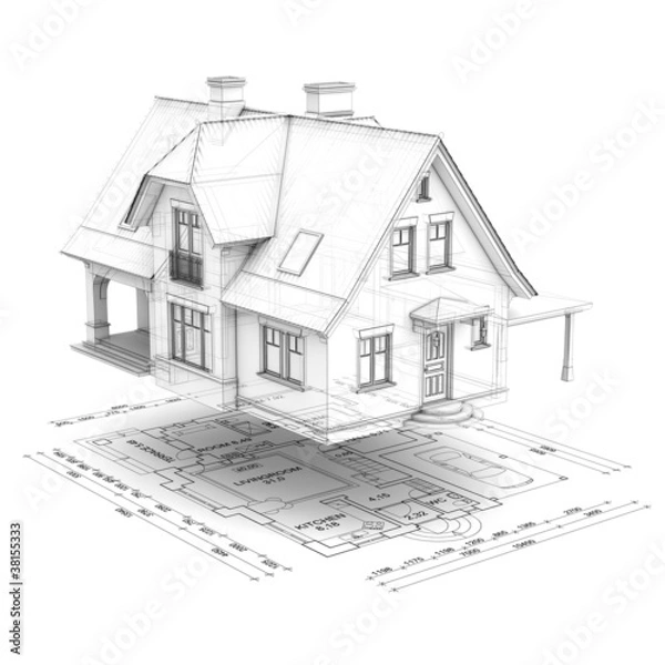 Obraz house with plan_wireframe