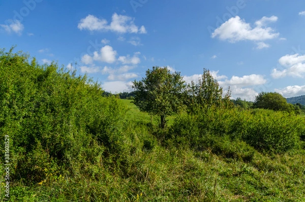 Obraz Bieszczady panorama 