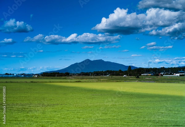 Obraz 緑の先の筑波山