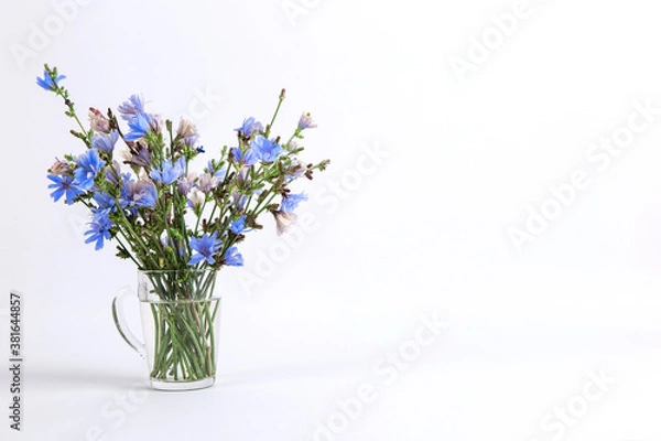 Obraz Blue flowers in a glass cup on a white background. Copy space.