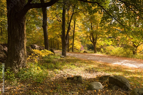 Fototapeta Autumn and fall landscapes from South Eastern Ontario Canada featuring forested hills and lakes with an ethereal atmosphere.  