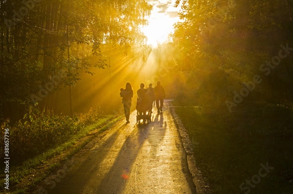 Obraz Sunbeams through the fog.
