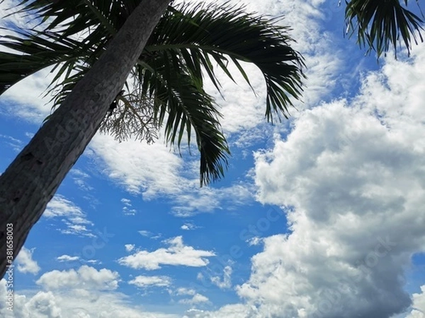 Obraz ice on the lake