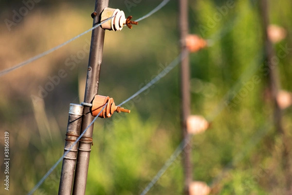 Obraz 害獣除けの電柵