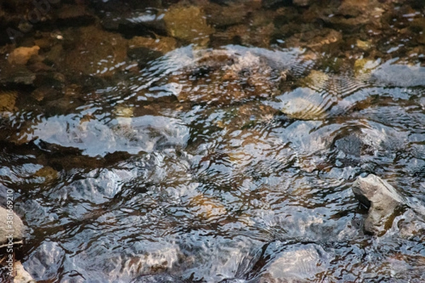 Obraz 小川のせせらぎ