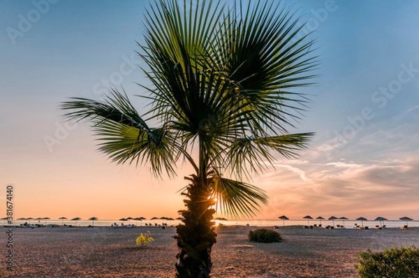 Fototapeta Palmy na plaży o wschodzie słońca