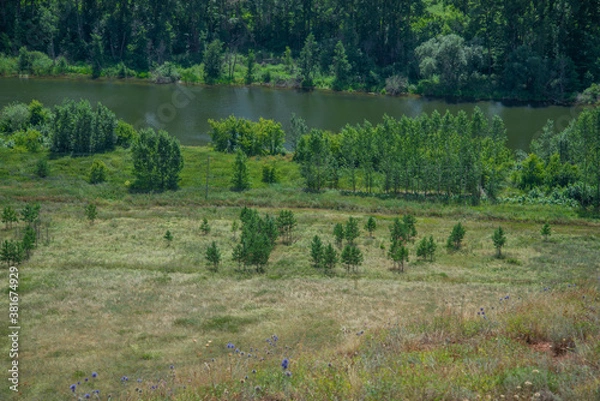 Obraz lake in the woods