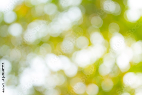 Fototapeta abstract bokeh background