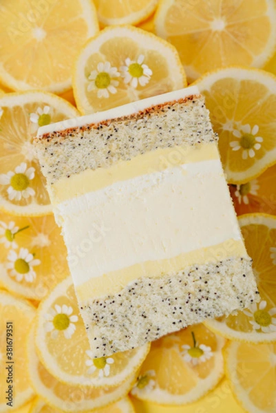 Obraz Slice of cake in the section on the background of fruit