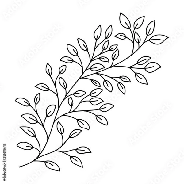 Fototapeta Hand drawn leaves and branch isolated on white. Doodle birch leaves for design. Vector illustration. Botanical print. Organic natural shape. Isolated birch branch