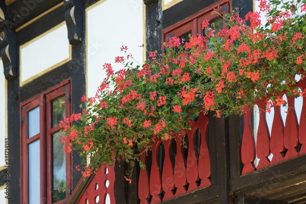 Fototapeta Balkonkästen