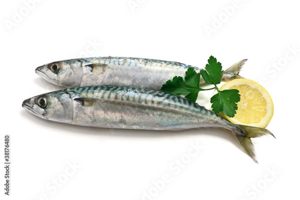 Obraz two mackerel with lemon - due sgombri