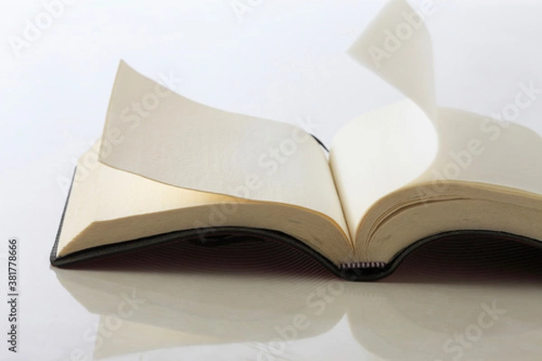 Fototapeta ページを捲る