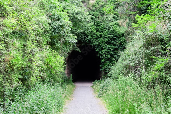 Obraz Dark tunnel on the forest path