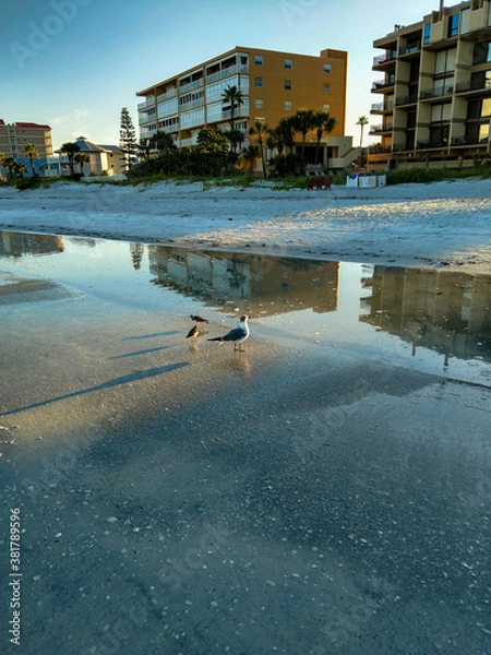 Obraz Morning Visitors