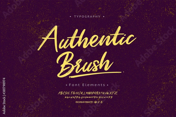 Fototapeta Handwritten lettering vector font alphabet, Authentic Brush. Vector font.