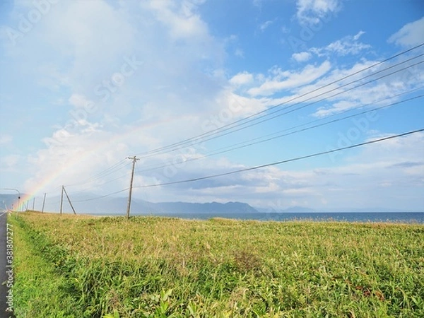 Fototapeta 北海道の道