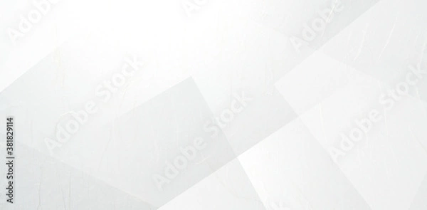 Obraz 白色の和紙の背景素材（アブストラクト）
