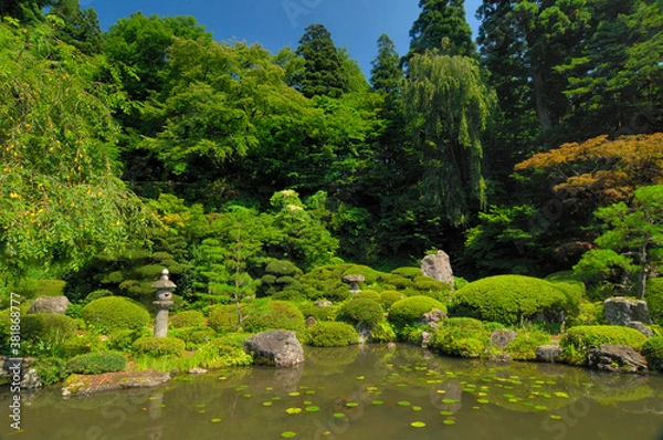 Fototapeta 玉川寺庭園