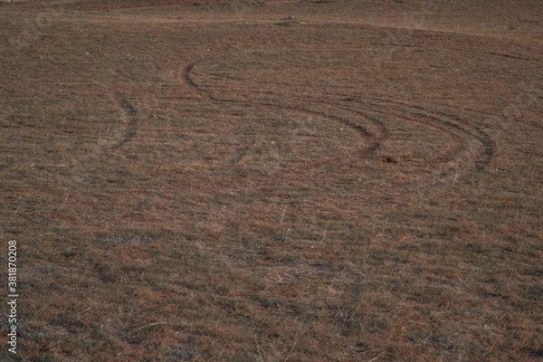 Fototapeta Wheel tracks of car on field with dry yellow, red short grass in steppe