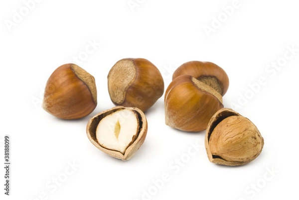 Fototapeta hazelnuts isolated on white background