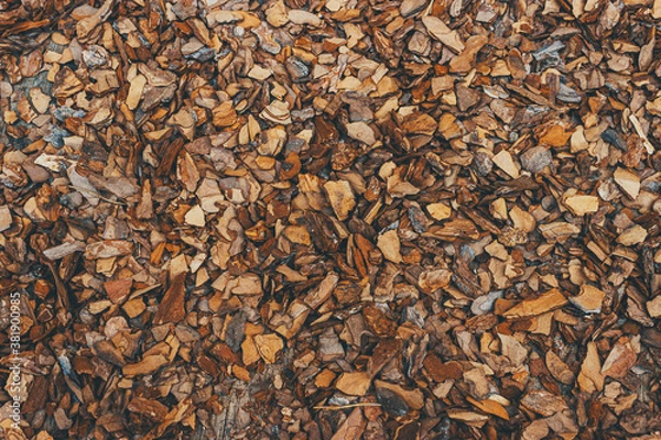 Fototapeta pine bark mulch background