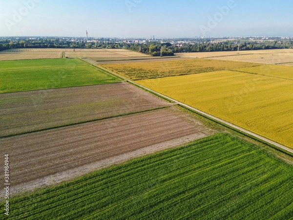 Obraz Campi coltivati a Pieve Emanuele