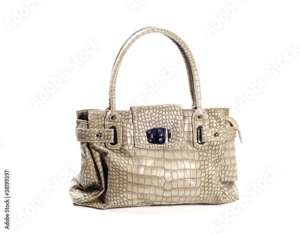 Obraz Brown purse