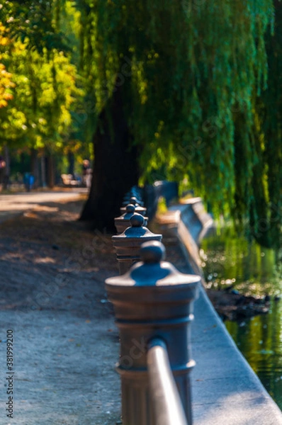 Fototapeta Weidenblick