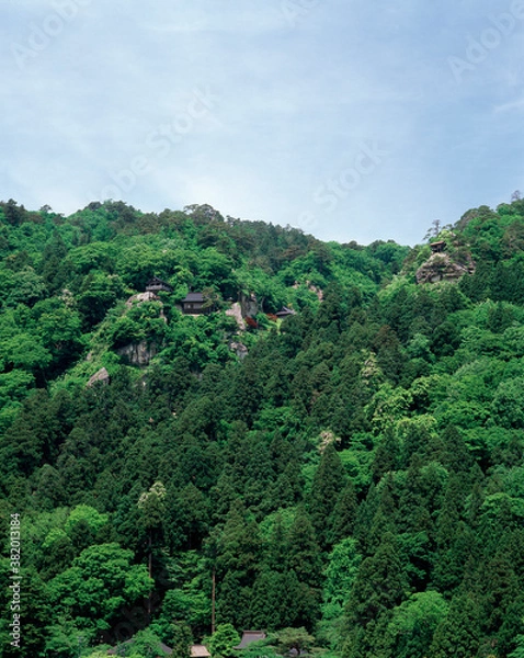 Fototapeta 新緑の山寺