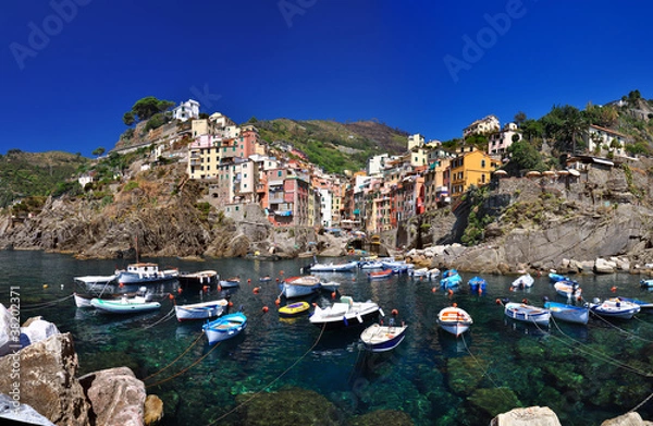 Obraz Boats in Riomaggiore