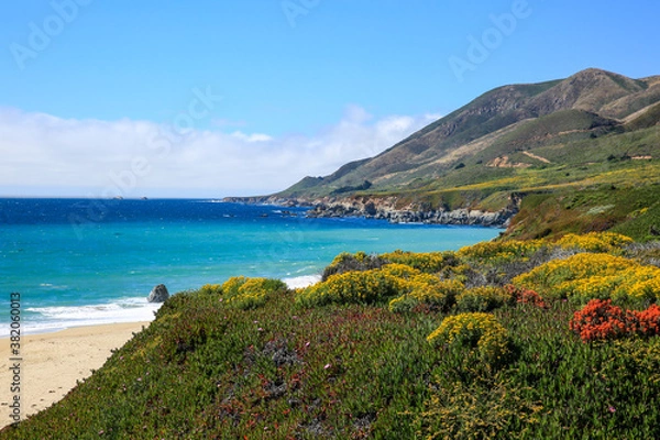 Obraz The Big Sur coast,  California 