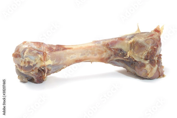 Obraz meat bone