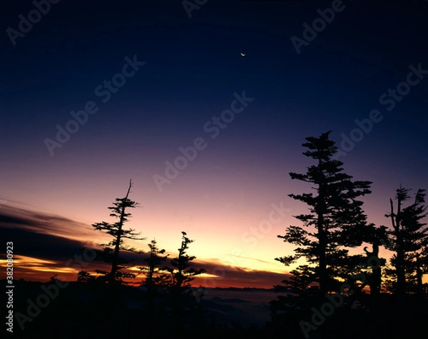 Obraz 白根山の黎明