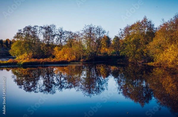 Obraz autumn trees reflected in lake