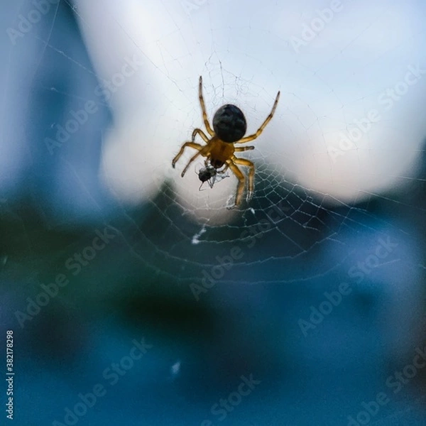 Obraz Garten-Impression