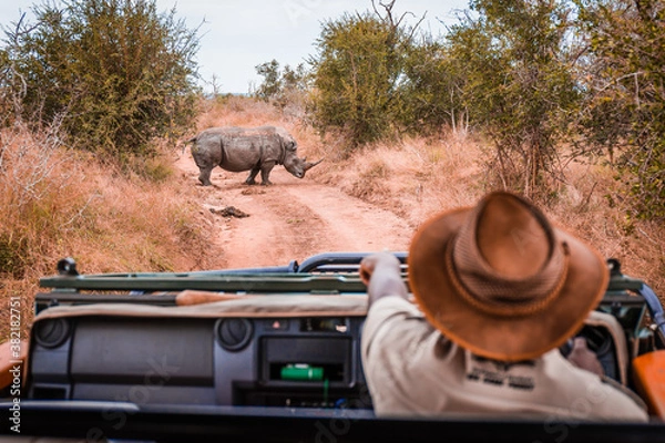 Fototapeta Przewodnik safari jeepem wskazującym na Rhino na wolności