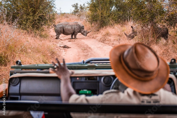 Fototapeta Przewodnik safari jeepem ze znakiem uspokajającym, patrząc na dzikie nosorożce
