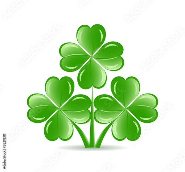 Fototapeta vector illustration of the three  shamrocks with four lucky leav