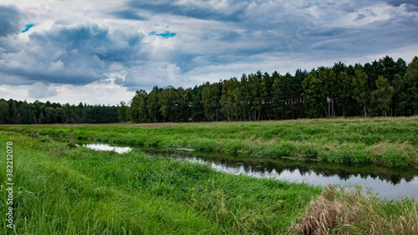 Obraz river in the forest