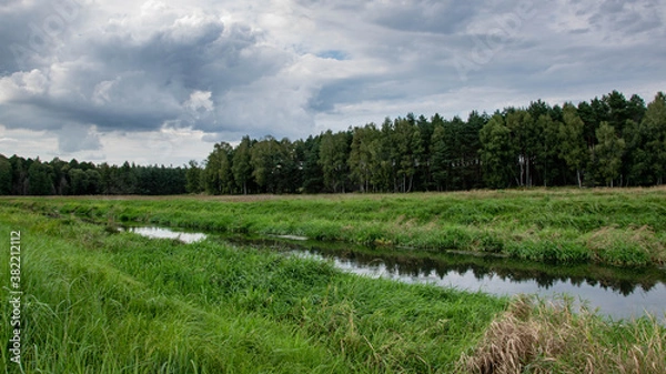 Obraz River in the forest