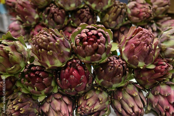 Fototapeta Artichoke bud
